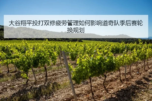 大谷翔平投打双修疲劳管理如何影响道奇队季后赛轮换规划