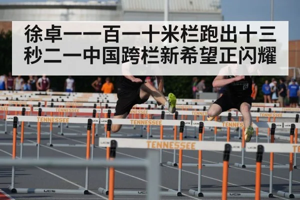 徐卓一一百一十米栏跑出十三秒二一中国跨栏新希望正闪耀