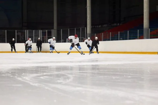 NHL新赛季棕熊对美洲豹帕斯特尔尼亚克与巴科夫对决分析前瞻